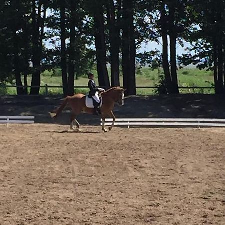 Sassi Talu Horsefarm Hotel Пярну Екстериор снимка