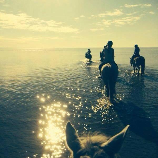 Sassi Talu Horsefarm Hotel Пярну Екстериор снимка