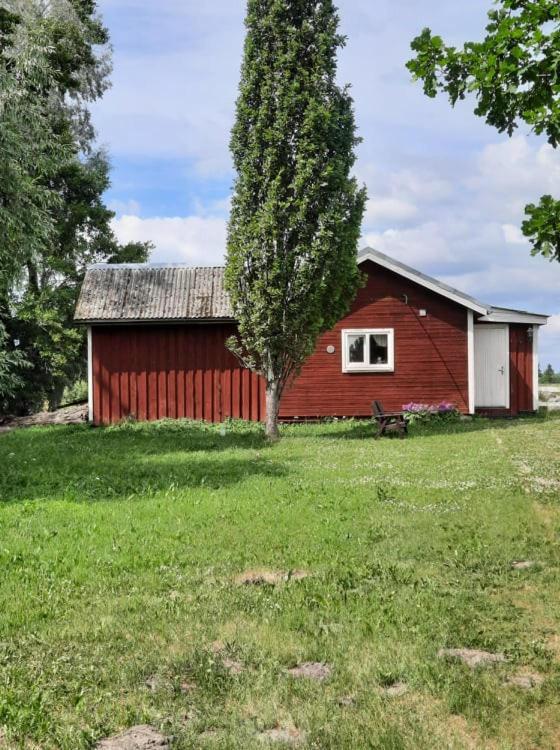 Sassi Talu Horsefarm Hotel Пярну Екстериор снимка